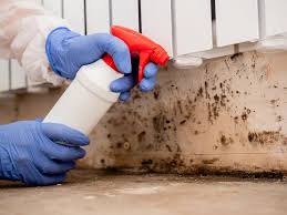 Best Residential Mold Inspection & Testing  in Running Springs, CA